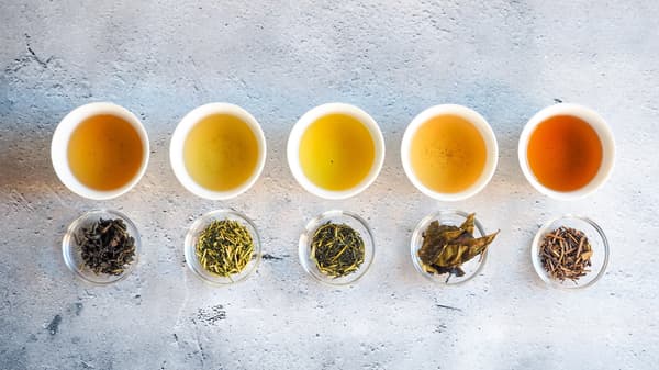 日本茶品鉴