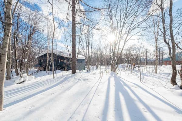 The property surrounded by snow-covered trees in winter