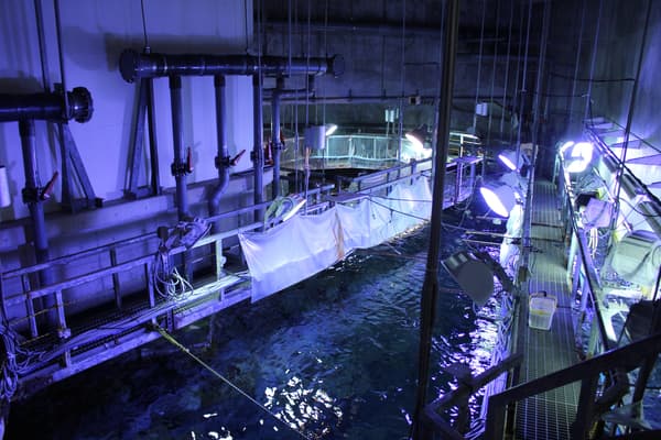 大型循环水箱上方区域