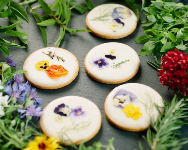 從農場到餐桌工作坊