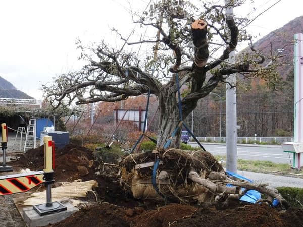 富士山麓的起重机吊运作业