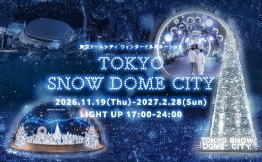 TOKYO SNOW DOME CITY