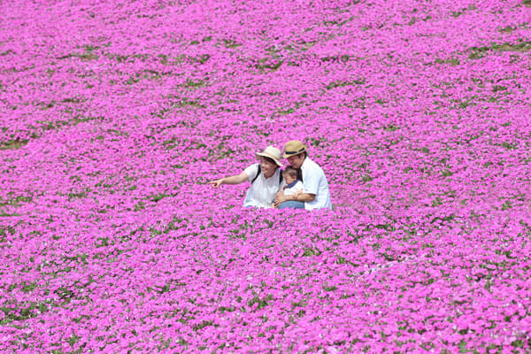 Momoiro Toiki di Mother Farm