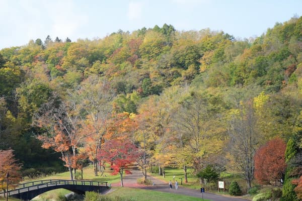 Autumn leaves around Park Bridge in the Stream Zone (photographed October 11, 2026)