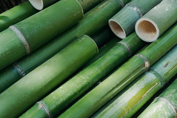 Processing bamboo for the wind chimes