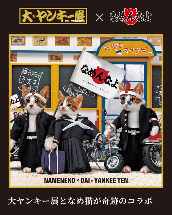 大不良展视觉图