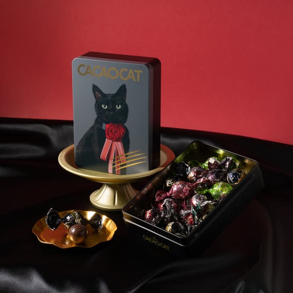 Cat can chocolates NOIR and mmts