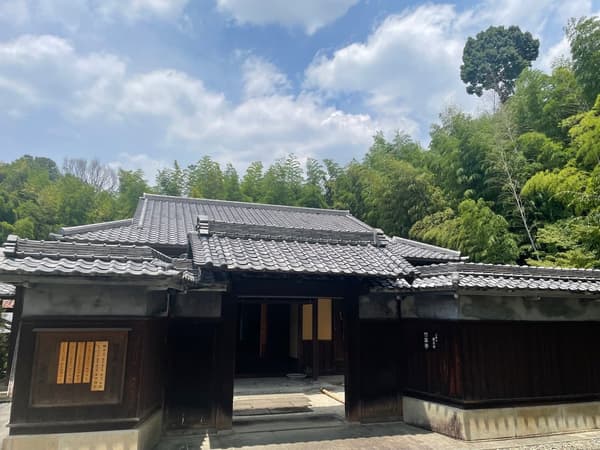 Future Tea Masters: Nagoya Children's Tea Ceremony