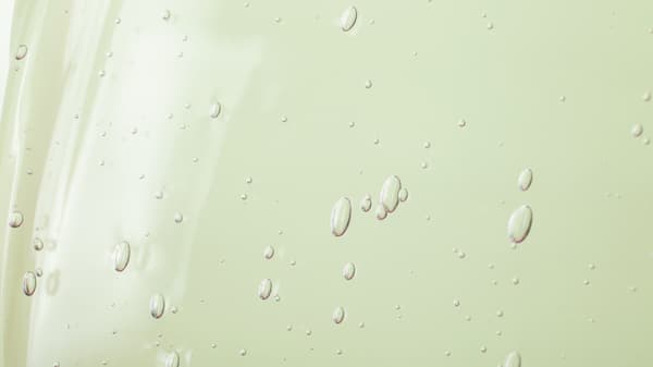 European Birch Bark Extract