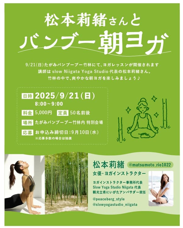 竹林中的绳索运动场