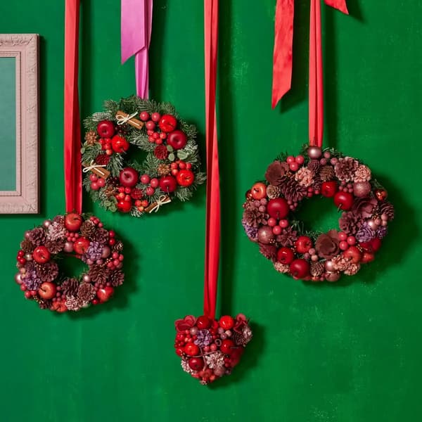 各种尺寸的苹果花环系列