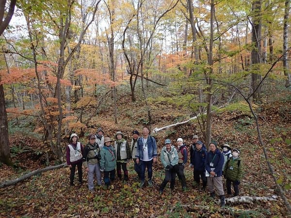 Participantes en el bosque durante la excursión