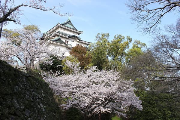 和歌山城的象征