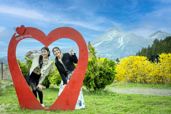 磐梯山残留的雪和春天盛开的连翘