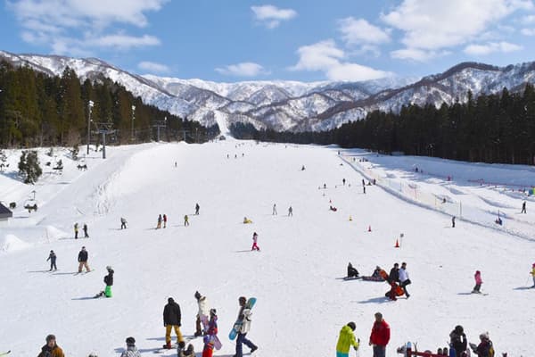 Ninox Snow Park