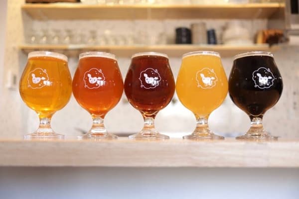 Pecora Beer