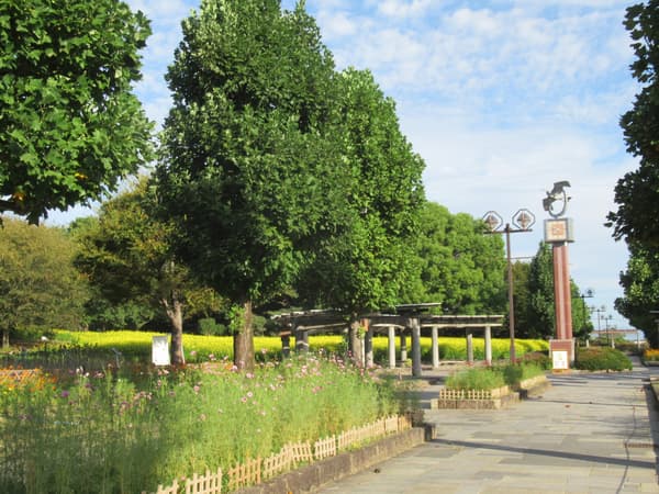 El paseo bordeado de flores
