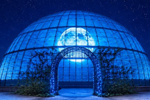 Good Night Dome
