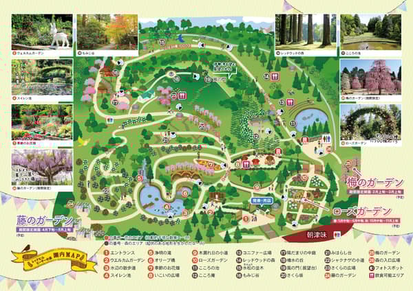 Red Hill石楠花森林园区地图——总面积约70,000平方米，紫藤花园占其中一部分。