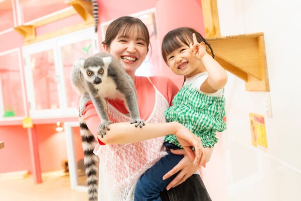 室內動物互動樂園 AniTouch