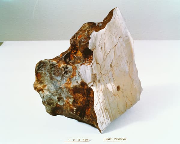 在南极洲收集的铁陨石