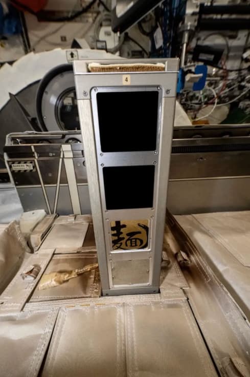 Jinrui Mina Menrui ingredients aboard the ISS (Photo: JAXA/NASA)
