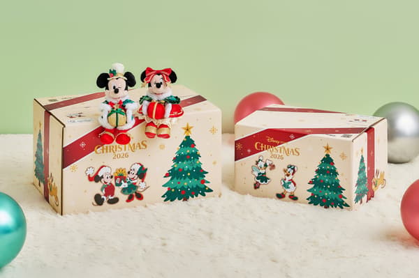 Special Christmas delivery boxes with Mickey & Friends artwork