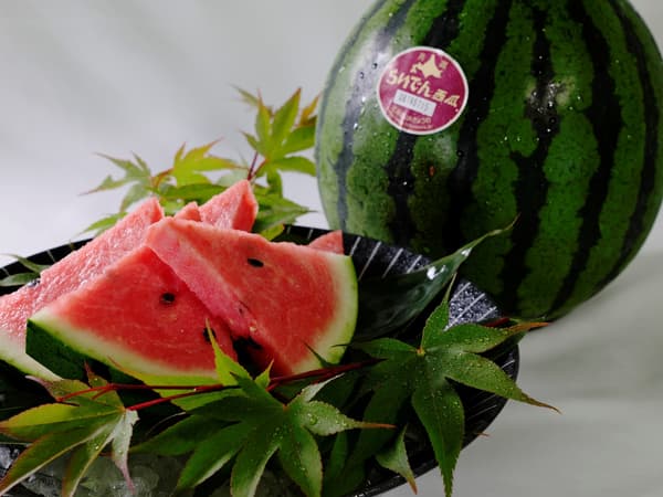 Raiden watermelon from Kyowa Town