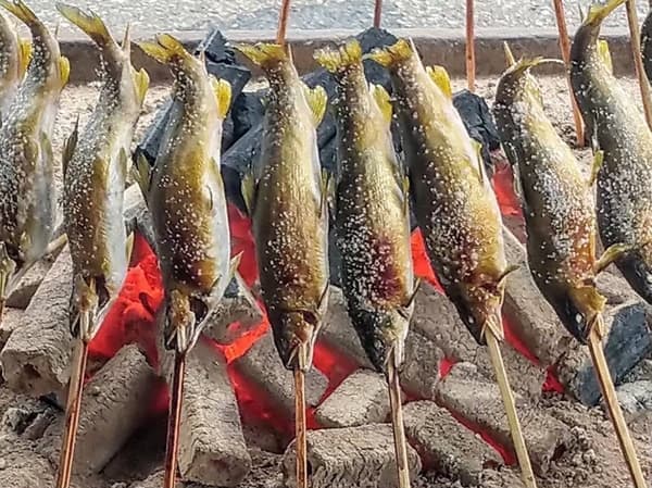 Grilled Sweetfish
