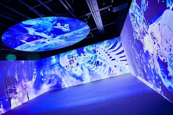 YOKAI Immersive Experience Exhibition KAGOSHIMA