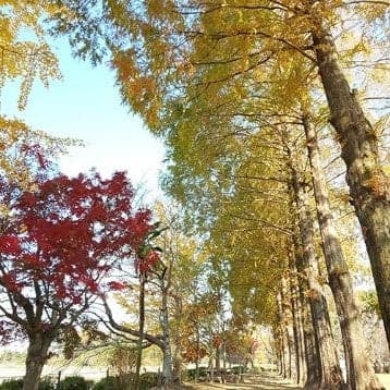 시로야마 공원