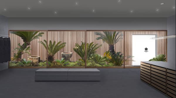 设有庭院花园的室内空间