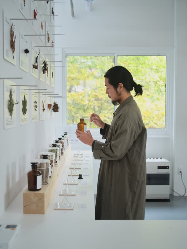 Destilación de árboles de Nagano por yaso