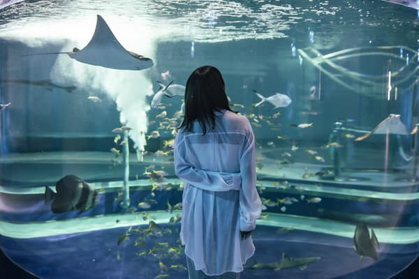 AQUARIUM × ART átoa