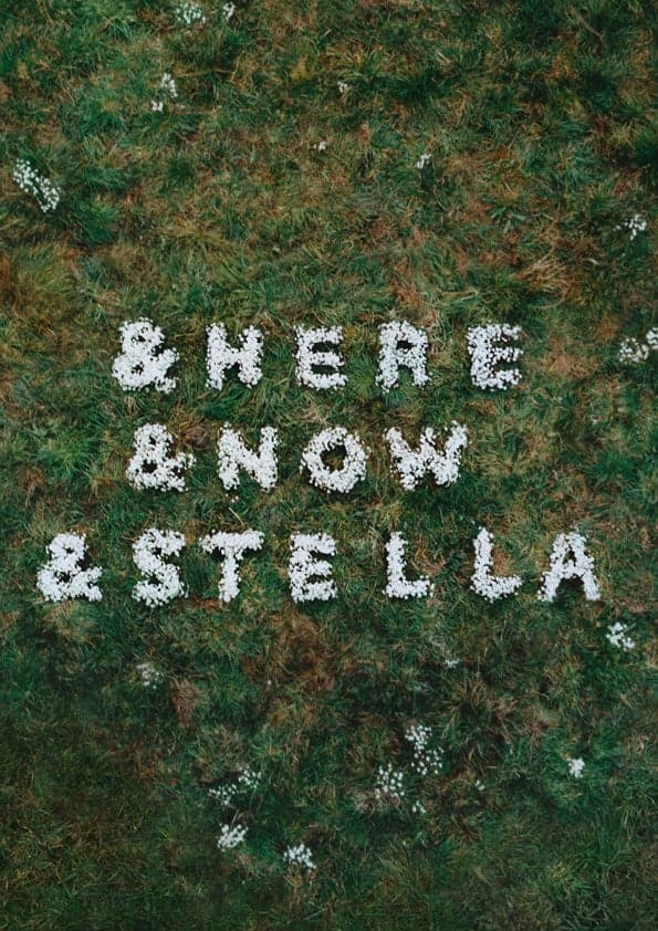 ภาพแคมเปญ Stella McCartney × H&M