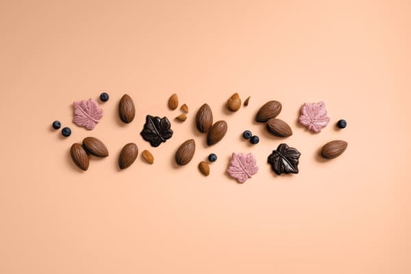 Surtido de chocolates de zorro y hoja de otoño de Läderach