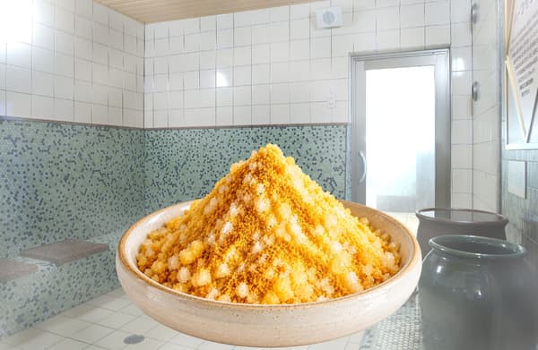 Tokugawa Ieyasu's Salt Sauna