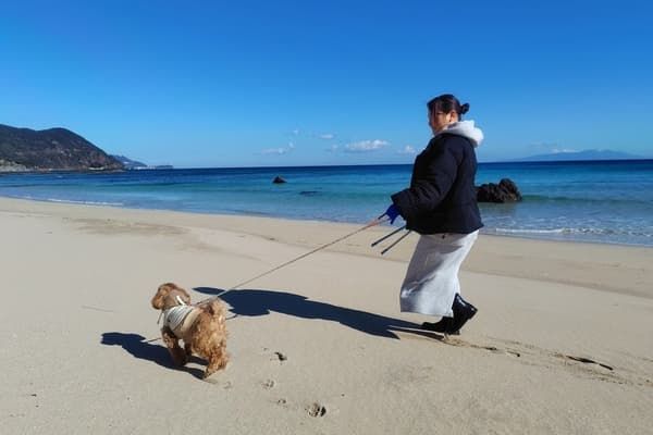 与爱犬一起散步，同时进行海滩清洁活动