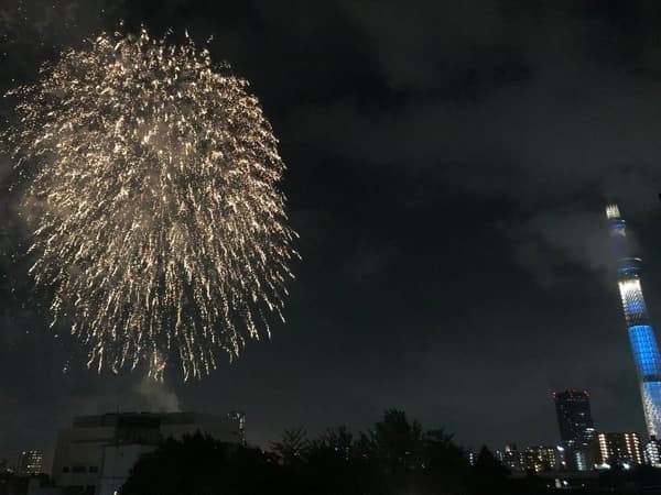 음식 및 음료 예시