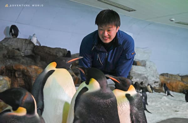 動物教育解說員 Mabo
