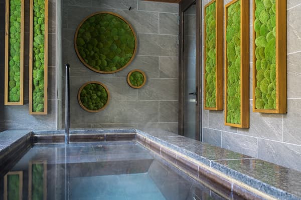 带苔藓景观的室内温泉