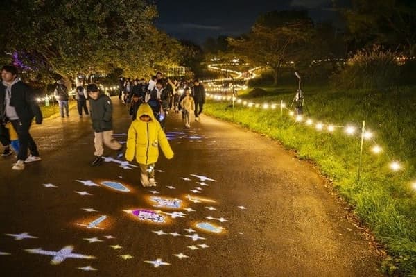 Park illumination scene 3