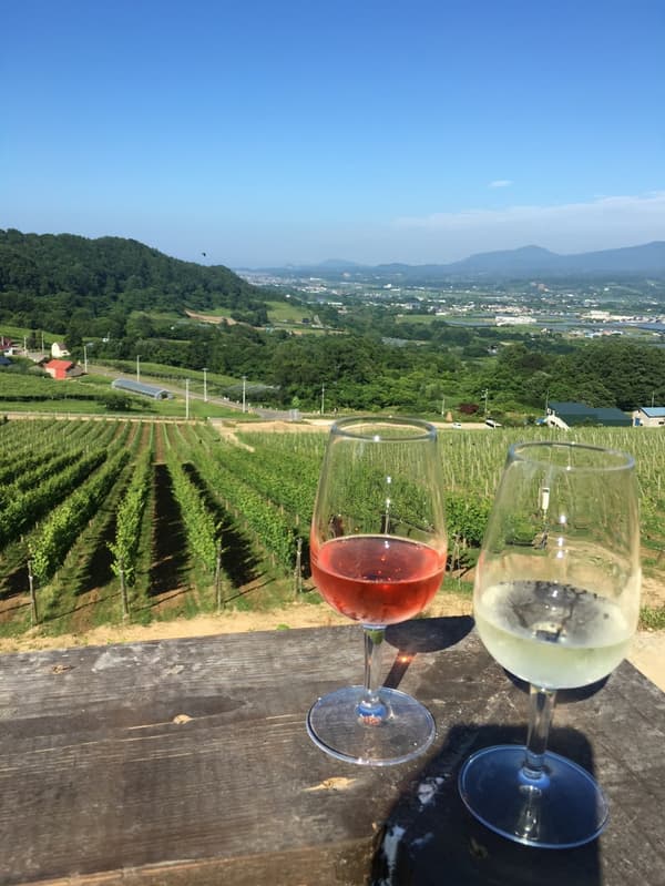View of the vineyard at NIKI Hills Winery in Niki