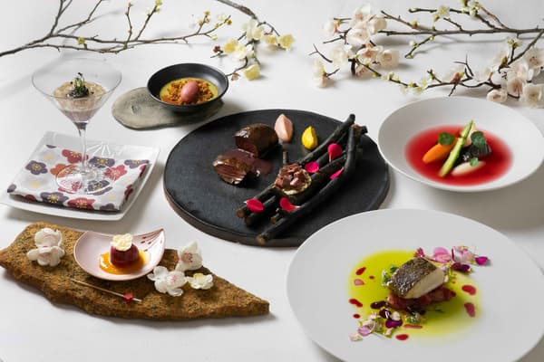 Special Dinner Course