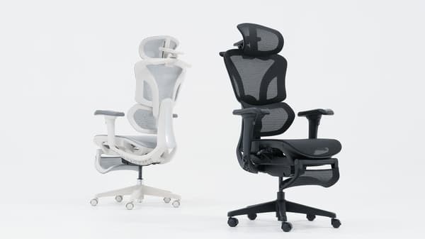 애쉬 화이트 및 블랙 색상의 Alien Chair Pro 2.0