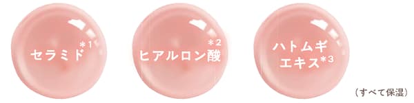 Feature 4 — Beauty Ingredients