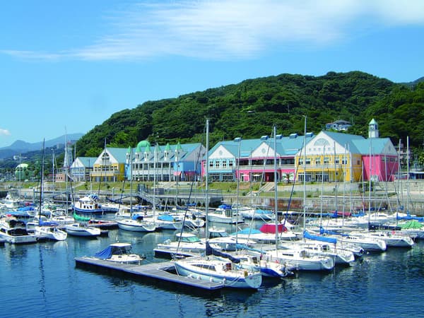 静冈金目鲷棒寿司摆盘