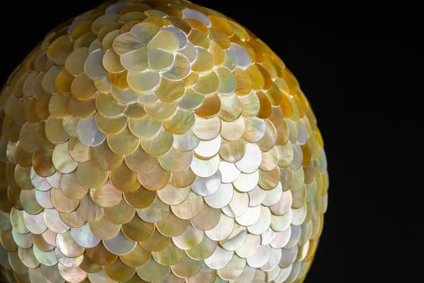 岛本的“龙蛋”细节