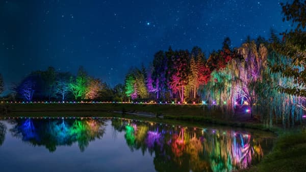竹彩鏡池