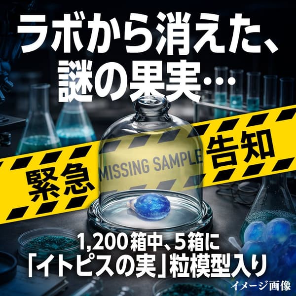 Itopis水果特别礼盒内容